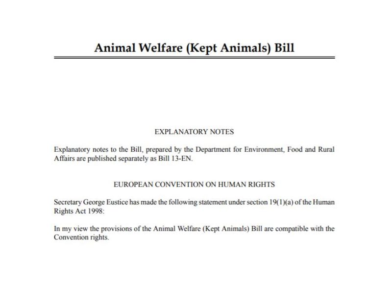 Animal Welfare Bill